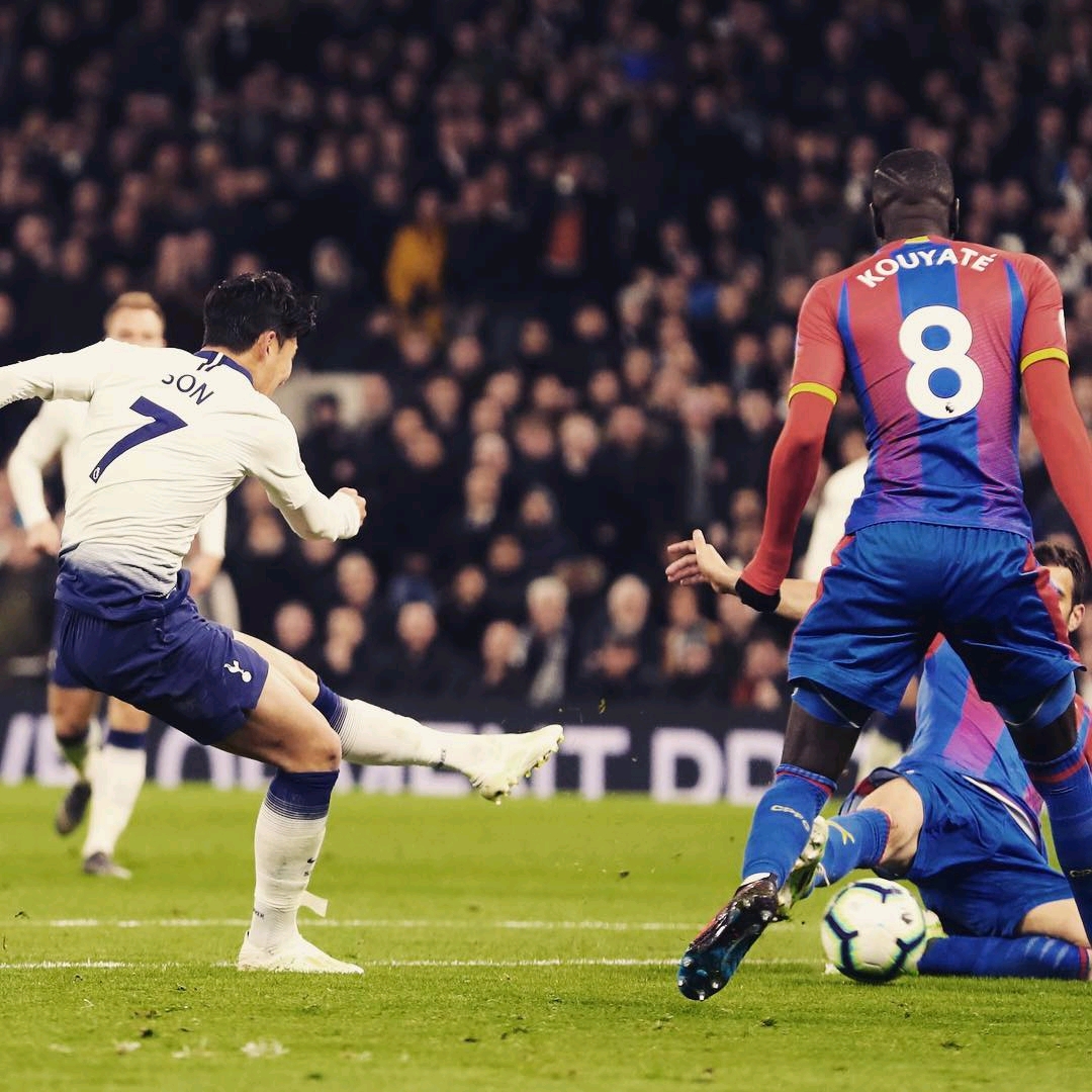 她制定了一 她制定了一